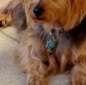 Meet your Posher, Joann